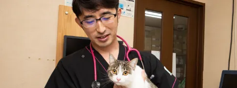 避妊・去勢手術