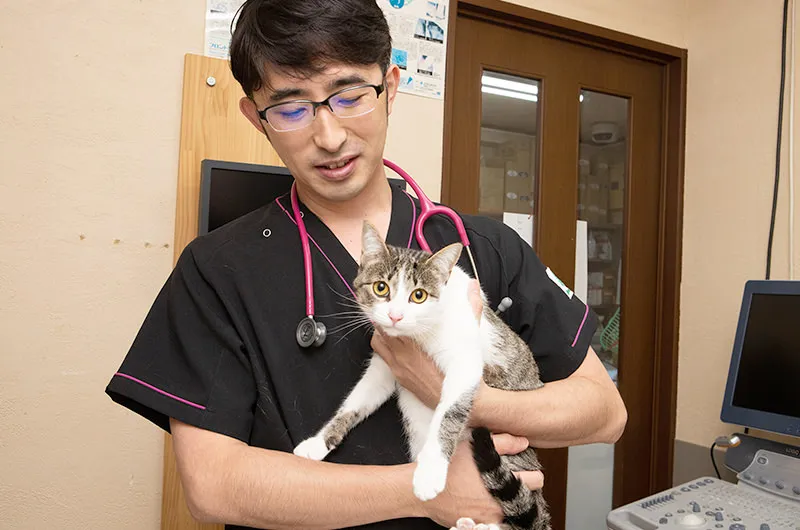 ご来院からご帰宅まで