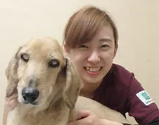 動物看護師 澤田 栞(さわた しおり)
